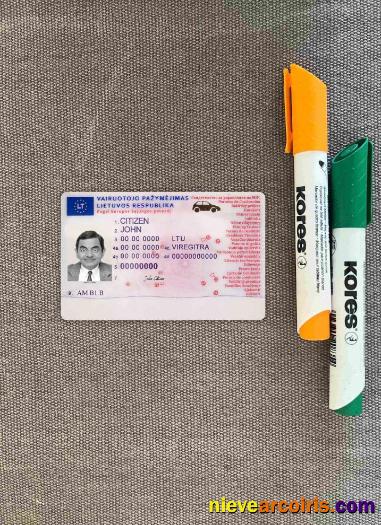 Lithuania driving license 2013-present photolook